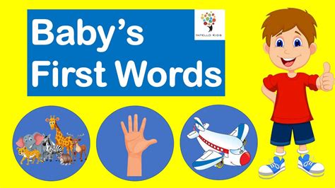 Baby First Words I English Vocabulary For Kids I Learning English Youtube