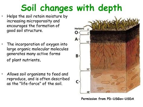 Ppt Introduction To Water Soil And Soil Ph Powerpoint Presentation