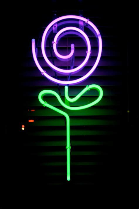 Purple Neon Flower Jeremy Brooks Flickr