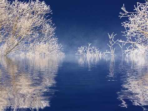 Free Images Tree Water Nature Branch Snow Cold Cloud Sky