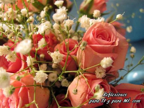 Buenos Deseos Para Ti Y Para MÍ Hermosas Rosas Rosas