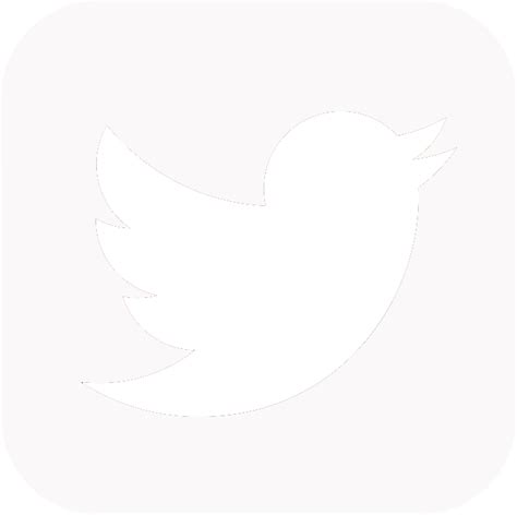 Twitter Logo Png Transparent Background