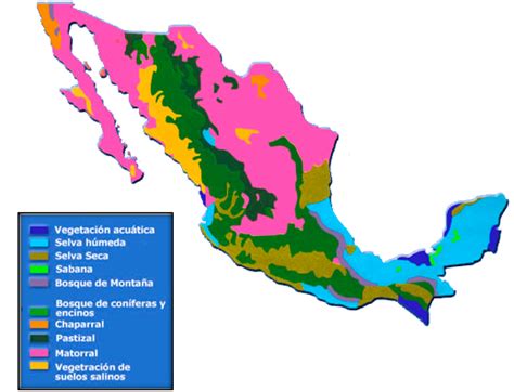 Mapa De Las Regiones Naturales De Mexico Images The Best Porn