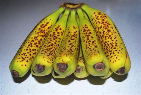 Spotted Bananas Free Stock Photo Public Domain Pictures
