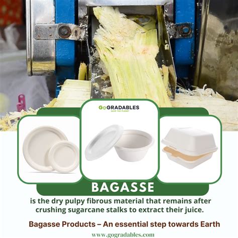 What Is Bagasse Gogradables