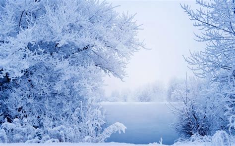 The Beauty Of Winter Hd Desktop Wallpaper Widescreen High