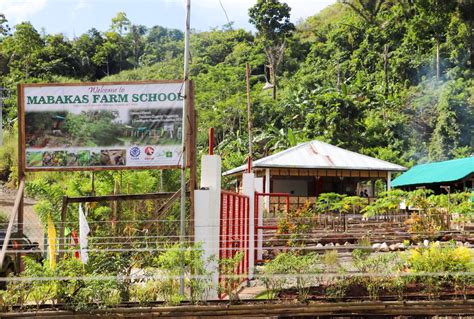 Amvi Supported Mabakas Farm School Turns Former Dump Site Into Learning