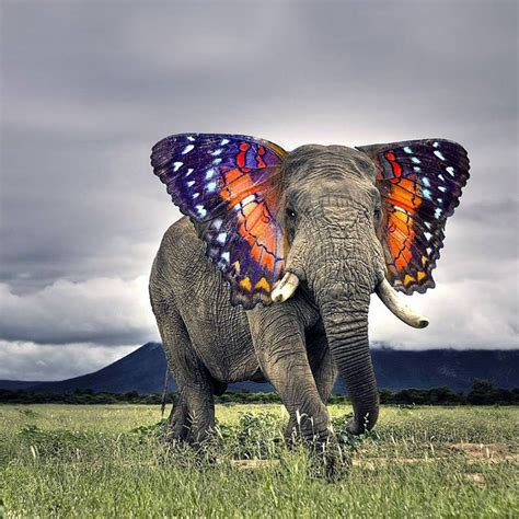 Fantasmical Photoshopped Animal Hybrids Gloss