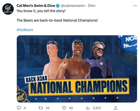 Cal Mens Swimming Golden Bears Win 2nd Straight Ncaa Title 8th