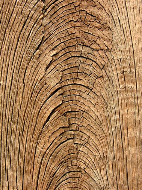 2100 Wood Grain Texture Free Stock Photos Stockfreeimages Page 2