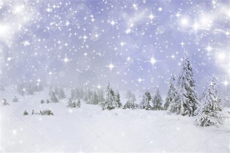 Christmas Background With Snowy Fir Trees — Stock Photo © Erika8213