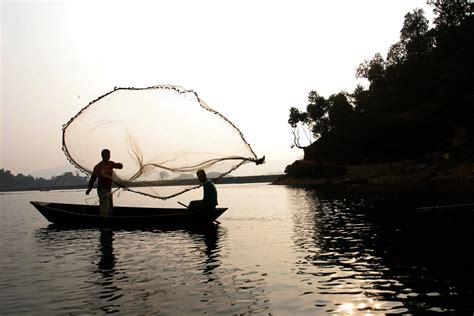 Free typical fishing Stock Photo - FreeImages.com