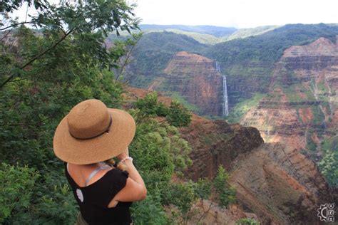 Confused about how to rent and which. Visit Waimea Canyon and Kokee State Parks in Waimea, Kauai ...
