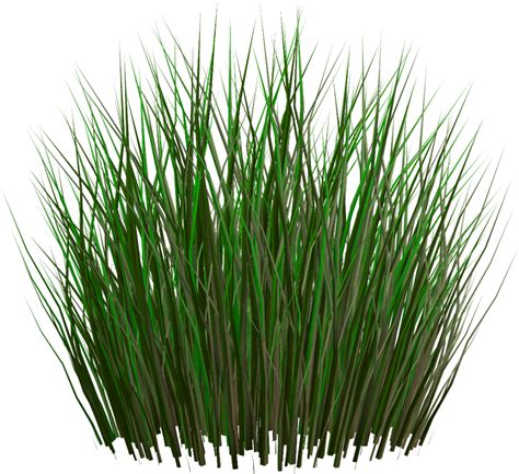Grass Png Image Green Grass PNG Picture Grass Textures Grass