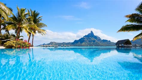 Landscape Of Polynesia Resort Sea Bora Bora Island With Palm Trees HD Nature Wallpapers HD