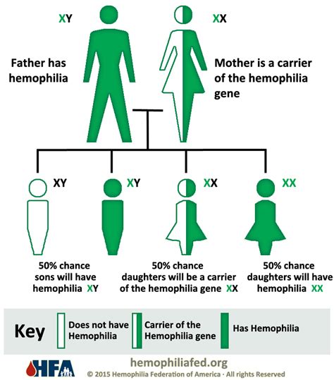 Shows all the ways in which alleles can combine. Inheritance Pattern - Hemophilia Federation of America