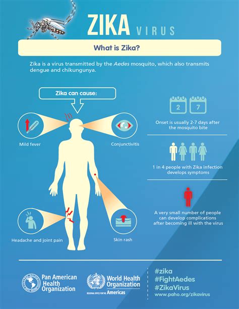 Zika Virus In Malaysia