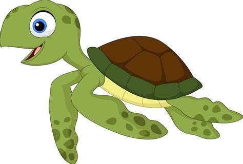 Premium Vector Cute Turtle Cartoon
