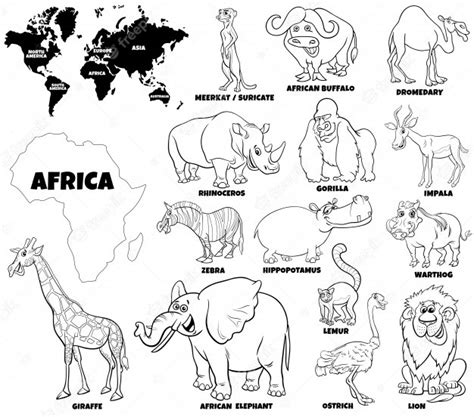 Premium Vector Educational Illustration Of African