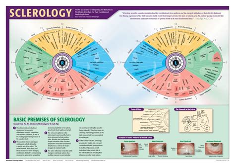 Sclerology Eye Chart Iriscope Iridology Camera Iriscope Camera