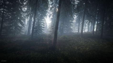 Misty Forest 4k Wallpapers Wallpaper Cave