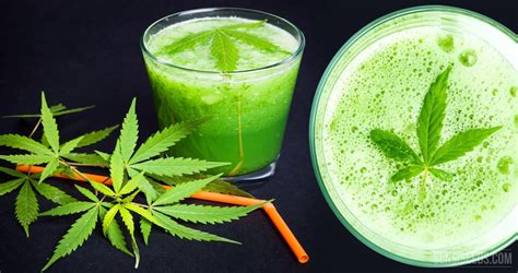 Cannabis Drinks Market Demand To Surge By 20x As Use Of Recreational