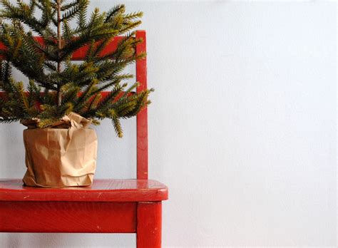 I found another use for it: diy: Christmas card photo backdrop