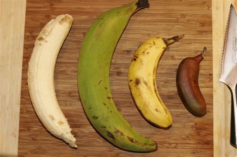 Photo Four Bananas By Seandreilinger