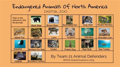 Endangered Animals Of North America Digital Zoo
