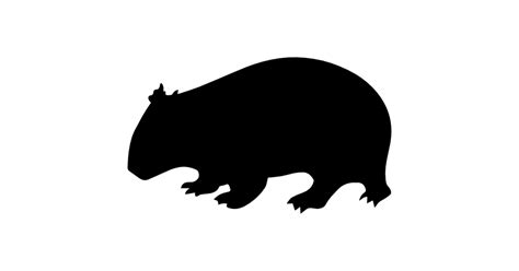 Download Wombat Svg For Free Designlooter 2020 👨‍🎨