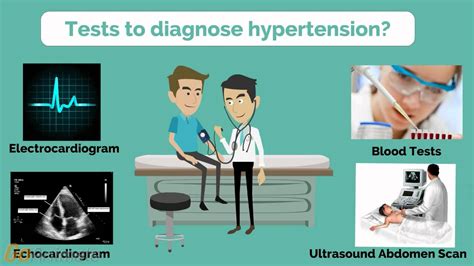 Hypertension Information Video Youtube
