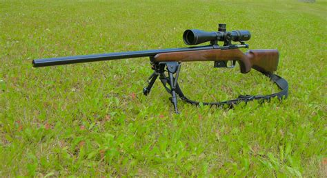 Cz 527 Review Shooters Forum