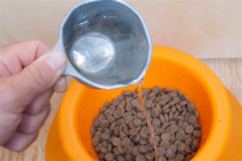 You can moisten dry food by adding warm (but not boiling) water. When to Start Feeding Puppies Solid Food? | Cuteness