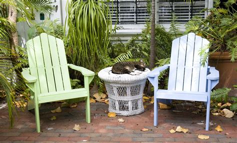 See safe houseplants for cats, what not to buy & how to keep cats from. 10 Cat-Safe Plants for Your Balcony Garden Gardeners, take ...