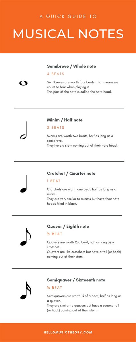Terms in this set (10). Types Of Musical Notes | Hello Music Theory