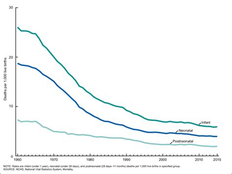 Infant Neonatal And Postneonatal Mortality Rates United States