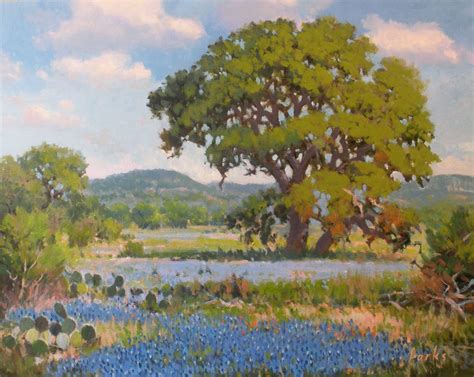 Texas Hill Country David Forks Texas Landscape Painter Hill