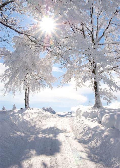 Snowy Sunburst Vertical Winter Landscape Winter Scenery
