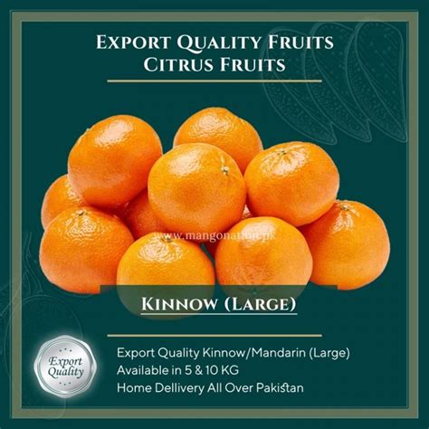 Kinnow Orange Mandarin Export Quality Large 10kg