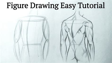 Anatomy Sketch Human Figure Drawing Lessons Easy Step By Step For