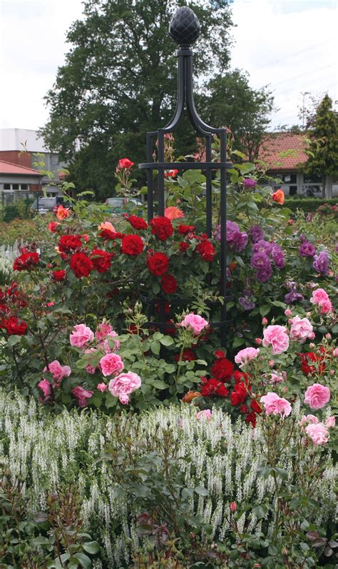 Rankgitter aus metall, für kletterpflanzen, 33 cm, eisen, rankhilfe, rankdraht, rankhilfe für topfpflanzen, blumen im innenbereich . Freistehende Rankhilfe - Rankgitter - Rankobelisk aus ...