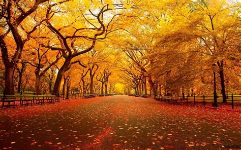 11 Awesome And Beautiful Autumn Wallpapers Awesome 11
