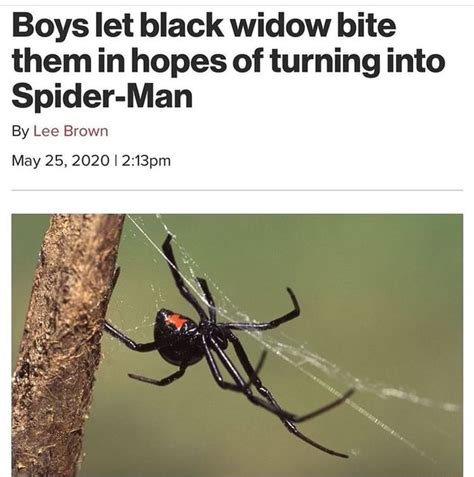 Boys Let Black Widow Bite Them In Hopes Of Turning Into Spider Man By