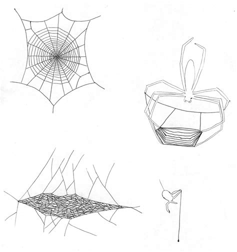 Free website builder to create amazing, fully customizable websites. Spider web shapes | ingridscience.ca