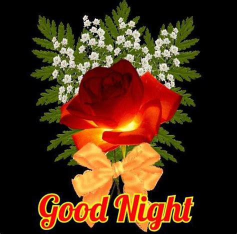 Good Night Hindi New Good Night Images Cute Good Night Good Morning Beautiful Images Good