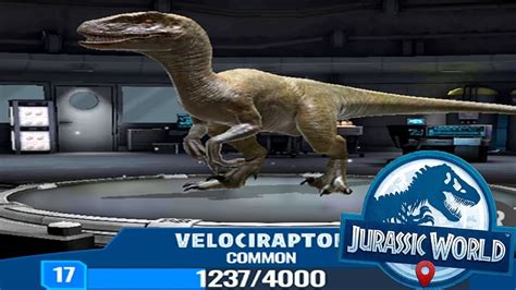 Velociraptor Level 17 Jurassic World Alive Android Gameplay Youtube