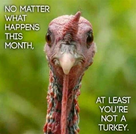 Pin By Wendy Carroll On Turkey Day Thanksgiving Quotes Funny Funny