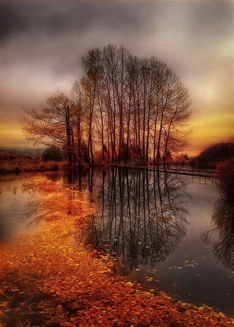 Теплая осень с переходом в темную в 2019 г. | Autumn tones | Осень ...