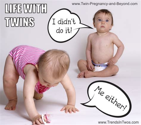 Twin Humor Twins Pregnancy Memes Funny Face Lisa Meme Pregnancy