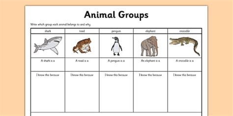 animal group worksheet science resource twinkl